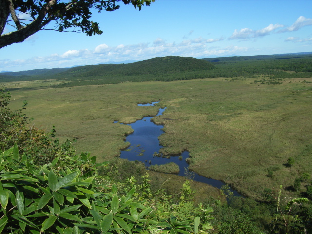 ちょっとだけ北海道気分３_d0013151_20104736.jpg