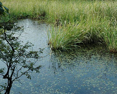 e0035757_05626.jpg