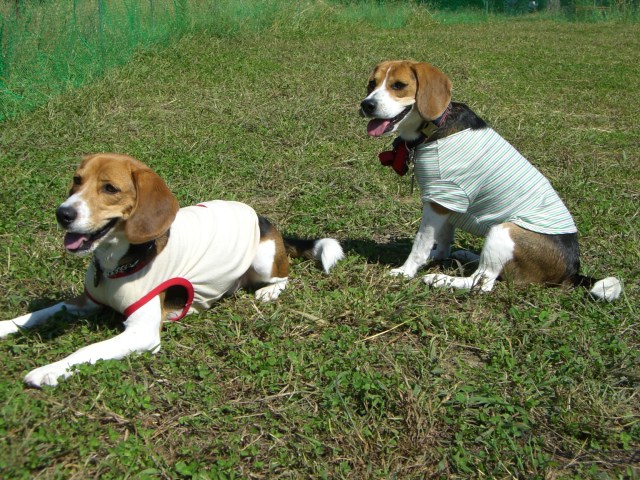e0007060_2151336.jpg