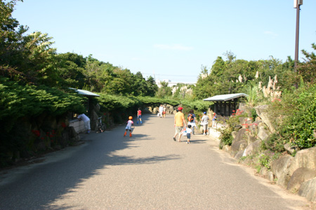■10/8~10は葛西臨海公園フェスティバル!_e0046474_16485855.jpg