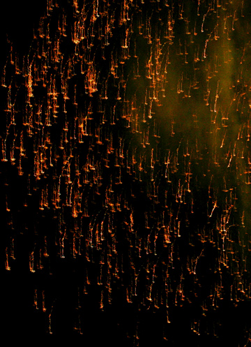 e0017393_1255834.jpg