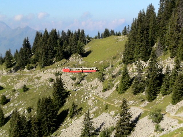 e0003910_21543757.jpg