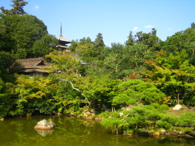 HDウォークマン_d0047811_051582.jpg