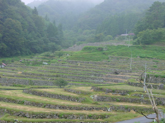 稲刈りの済んだ棚田!_d0025421_14293926.jpg