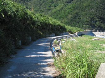 e0041337_73335.jpg