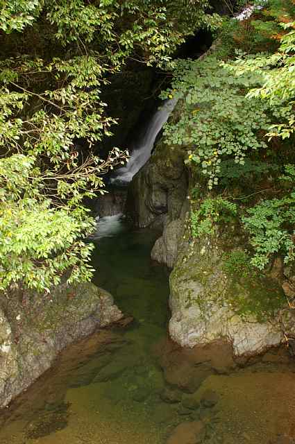 脇道へ～高野龍神スカイライン～_b0009847_22351978.jpg