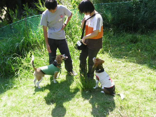 e0007060_22112324.jpg