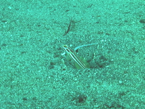 c0063673_16454590.jpg
