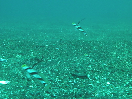c0063673_16481990.jpg