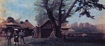 e0079739_1304018.jpg