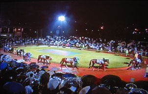 a0019747_2005761.jpg