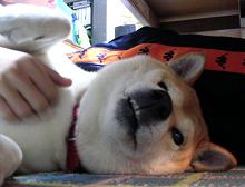 また~♪_c0049950_21241790.jpg