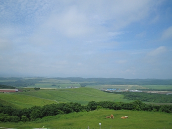 c0060452_22114590.jpg