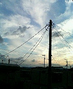 e0072153_2063047.jpg