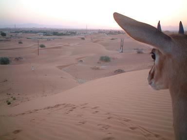 e0066474_22293338.jpg