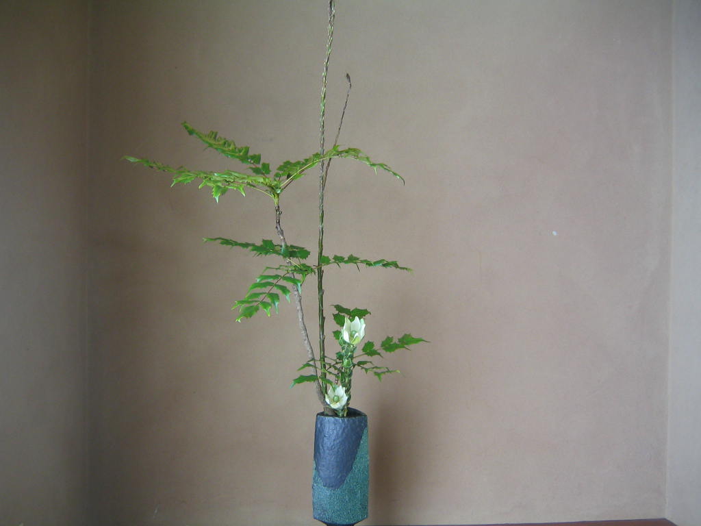 e0001406_233825100.jpg