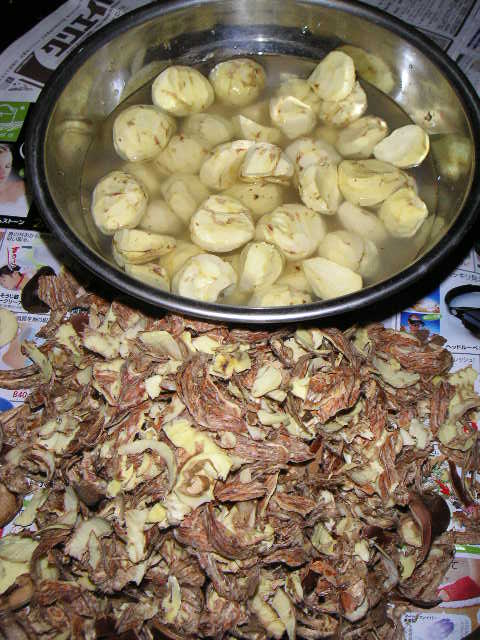 d0013610_132243.jpg