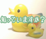 d0040314_072245.gif
