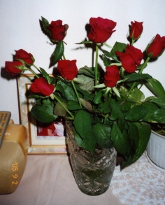e0061036_9404697.jpg