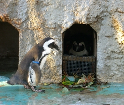 d0057240_0383981.jpg