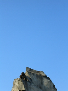 d0057240_040421.jpg