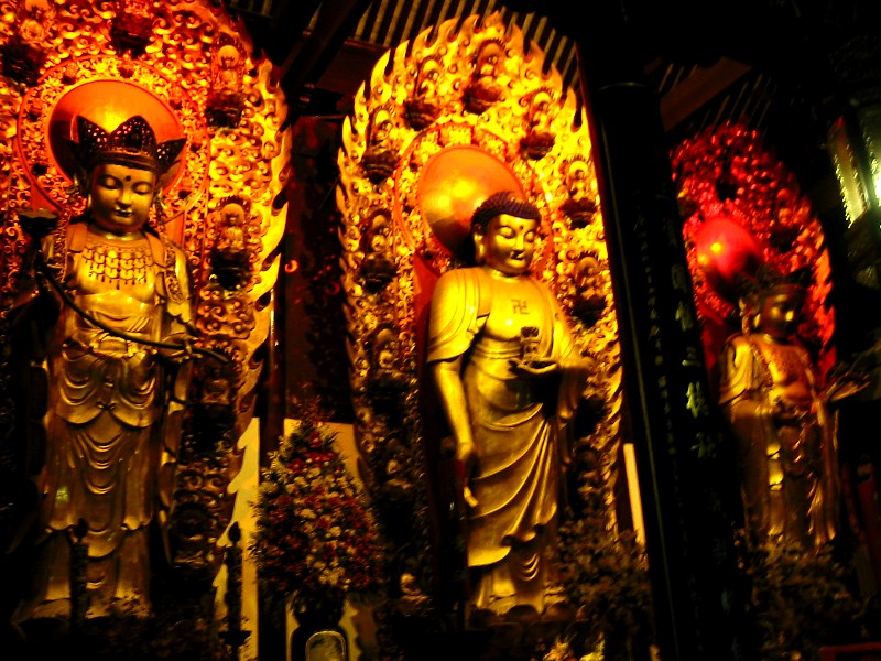 e0026744_21206.jpg