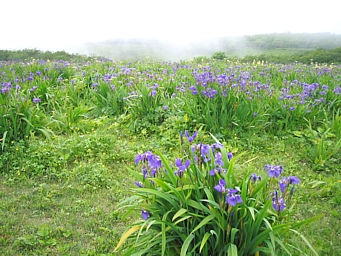 c0060452_021770.jpg