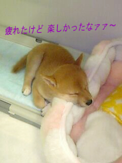 e0077157_031856.jpg