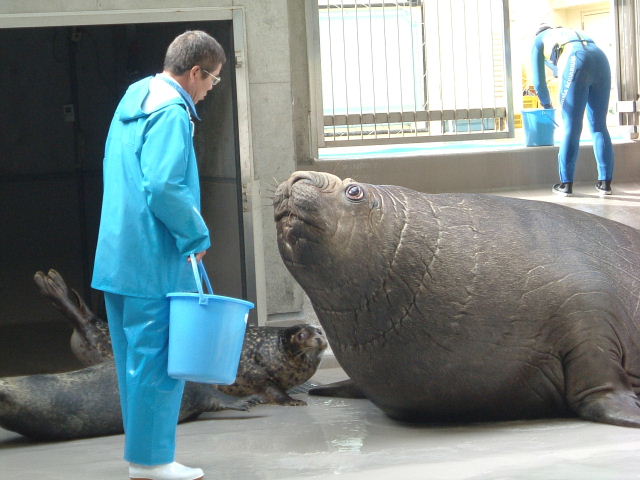 ☆みなぞう様確認用ページ☆ 2424様⭐︎リバティカーズ・アデラジャ×ワッペンレッスンバッグ他