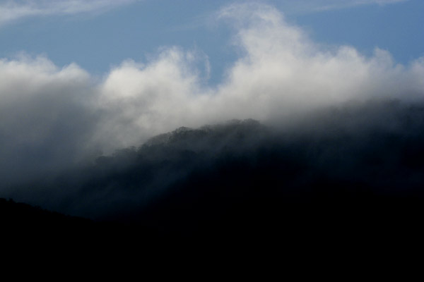 八幡高原久々に晴れた〜！_d0020976_2212992.jpg