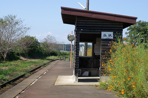 50mmレンズ撮り比べ、その2_e0069983_2121238.jpg