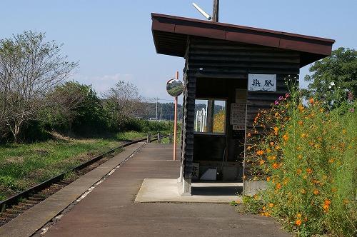 50mmレンズ撮り比べ、その2_e0069983_21224823.jpg