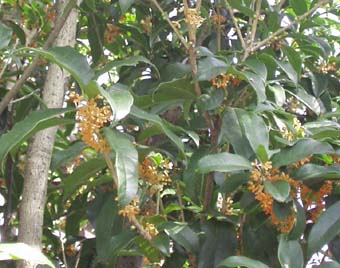 e0008704_14214954.jpg