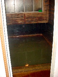 ニセコ薬師温泉旅館 300円 蘭越町_c0062106_18545027.jpg