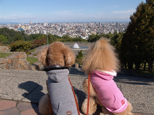 a0016311_1271929.jpg