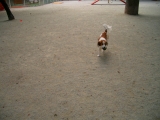 c0065512_23473190.jpg