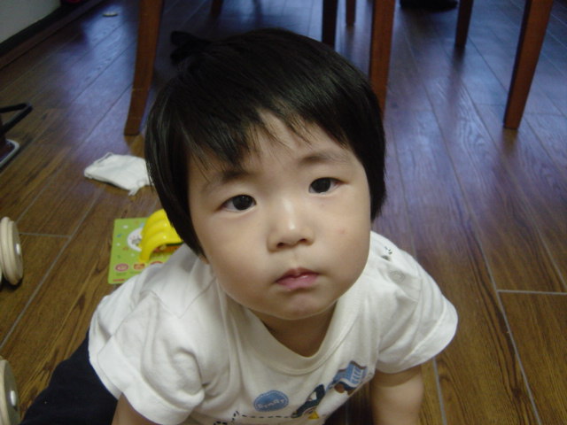 c0066830_225587.jpg