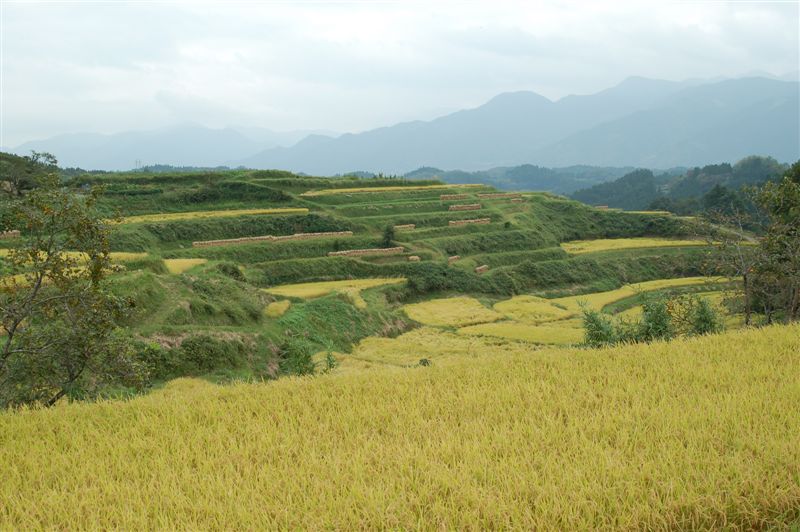 なかよしキャンプｉｎＹＡＢＥ_e0056537_1959818.jpg