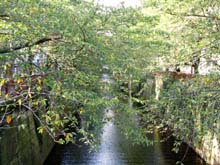 ＊わくわく　わくわく・・・！＊　　2005,10,6_a0030038_0491675.jpg