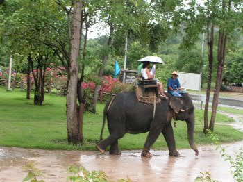 象に乗ってみた_e0074548_2322547.jpg