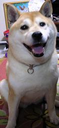 遠出したおかげで?_c0049950_2220252.jpg