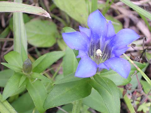 d0019169_22561946.jpg