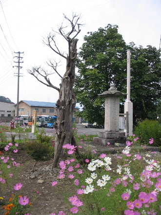 Stone monument of Hokke-daimoku_d0012011_22285720.jpg