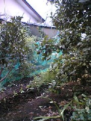 e0016135_22271650.jpg