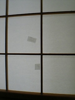 d0014841_0202665.jpg