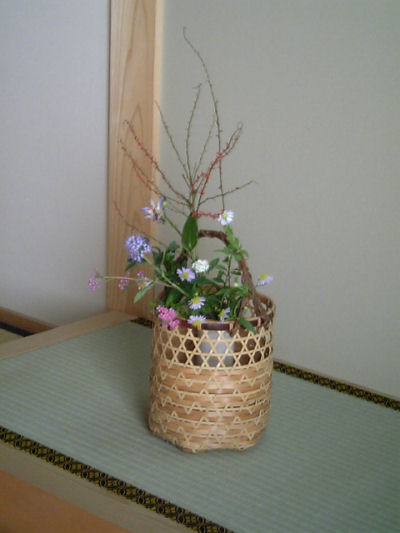 10月の茶花_a0036650_031278.jpg