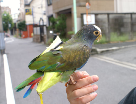 10月８日土曜日（東京＠曇りと雨）_c0004078_22352626.jpg