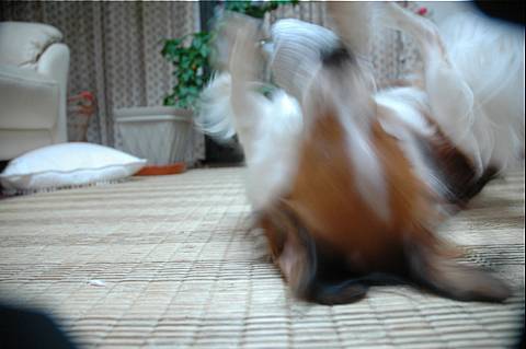 c0075585_141861.jpg
