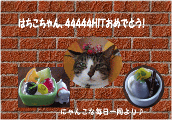 b0001286_1441681.gif