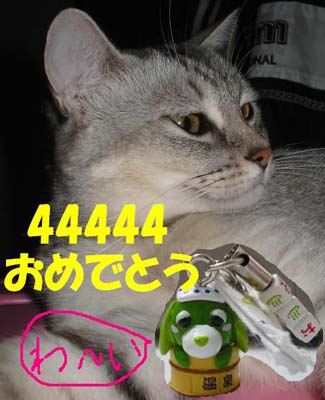 b0001286_1443771.jpg